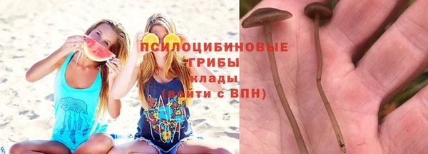 таблы Арсеньев