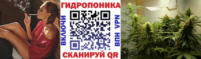 Шишки марихуана AK-47  Мезень 